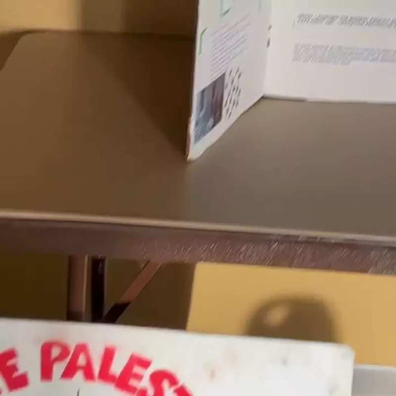 Sadeel Hijaz at BDS Presentation_#28